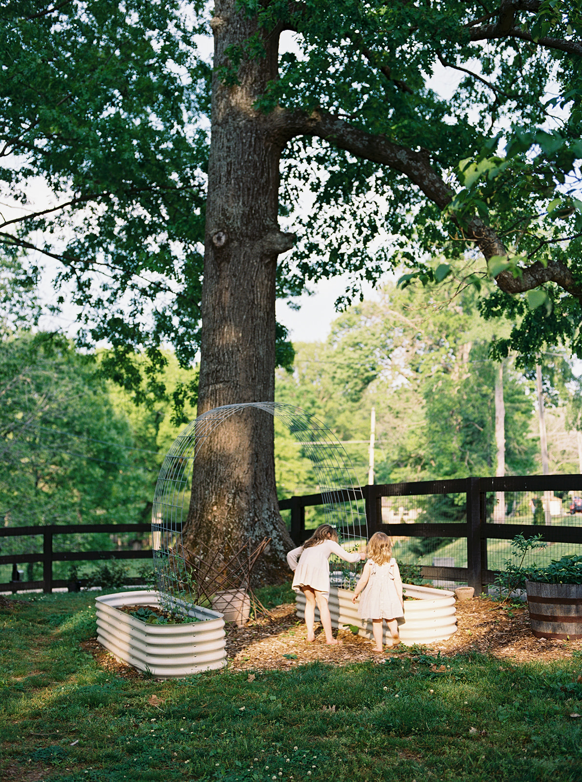 Young sisters play in garden during their in-home family session in Nashville, Tennessee