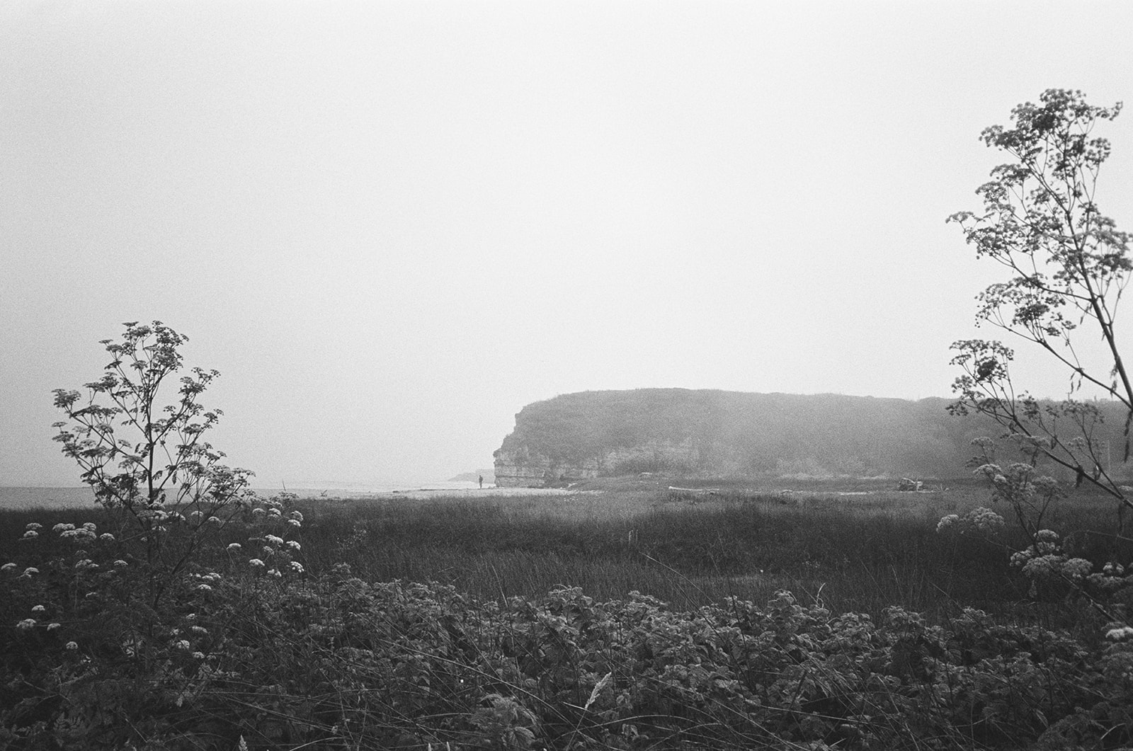 Shoreline of Santa Cruz photographed on black and white film in Northern California